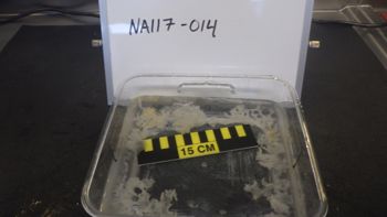 Media type: image;   Invertebrate Zoology 153111 Description: live specimen;